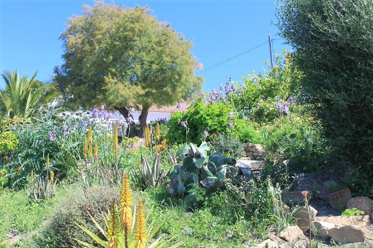 Cerro Brae Villa Villanueva de la Concepcion